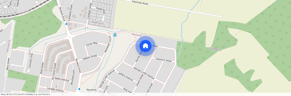 24 Windeyer Street, RENWICK 2575, New South Wales