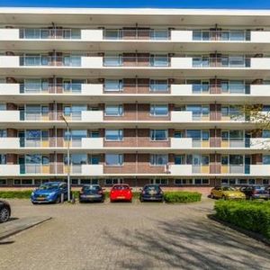 Professor Cobbenhagenlaan 5037 Tilburg - Photo 3