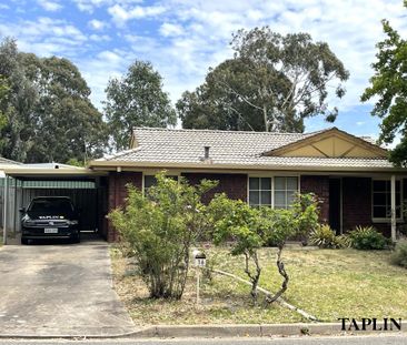 16 Balee Road, Happy Valley - Photo 4