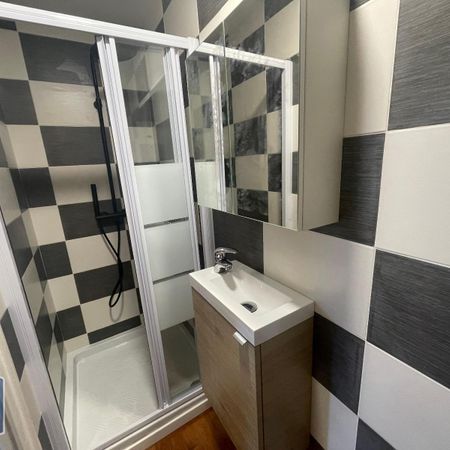 Location Appartement 1 pièce 30m² MANSLE 16230 - Photo 4