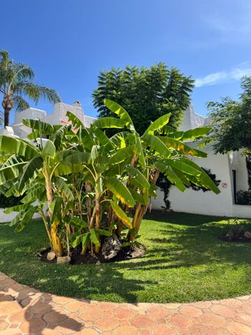 Estudio de alquiler en Calle Pintor Picasso, 36, Villacana - Costalita - Saladillo - Photo 3