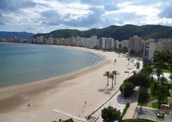 Cullera