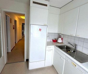 Helle 3.0 Zi-Wohnung zu vermieten - Photo 3