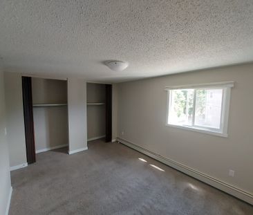 Beautiful 2 Bedroom Unit in Parkvale!! - Photo 3
