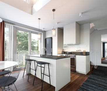 Condo for rent, Montréal (Le Plateau-Mont-Royal) - Photo 1