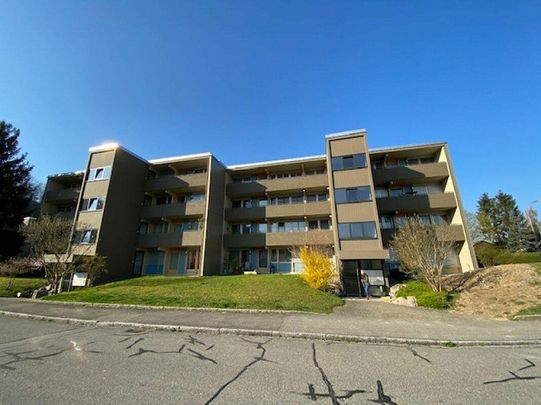 Schöne 4.5Zi Wohnung zu vermieten - Photo 1