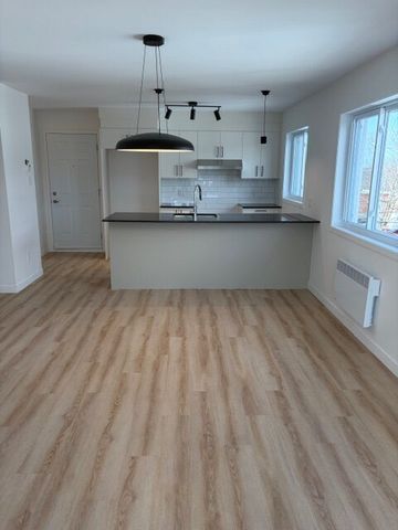 548 Rue Saint-Michel, Sherbrooke, (Vacant) QC J1E 2L1 - Photo 4