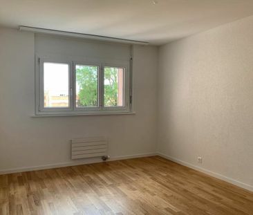 Bel appartement de 2 pièces entièrement rénové dans quartier calme ! - Photo 3