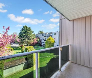 Fraser Place Apartments - 1 Bedroom - Photo 6