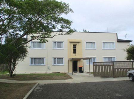 11/170 Church Street, West End, Palmerston North - Photo 4