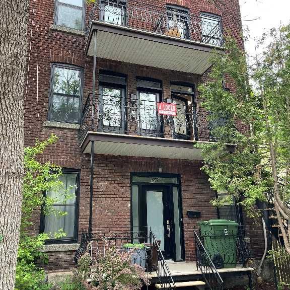 HOMA 3 1/2 complètement rénové à neuf! - Photo 1