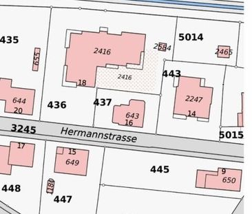 Spacious 4.5-room apartment for rent in Weinfelden. - Photo 4