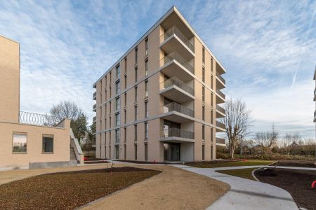 Schelle - Appartement - Foto 4