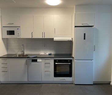 Erik Olsons gata, Halmstad - Foto 2