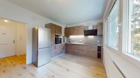 Sanierte 1-Zimmer-Wohnung in Maria Enzersdorf - Photo 4