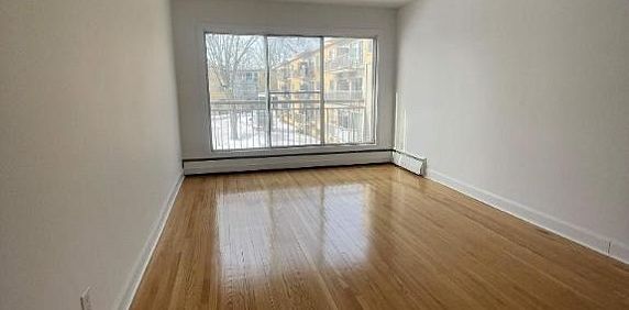 1 CH - 1 SDB - Montréal - $1,300 /mo - Photo 2