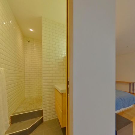 APPARTEMENT MEUBLE 1 PIECE STRASBOURG - Photo 4