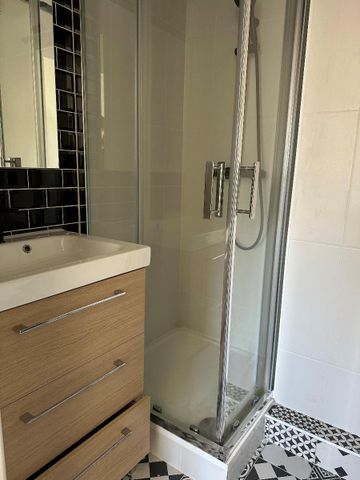 Location Appartement 1 pièce 20m² LYON 7ème - Photo 3