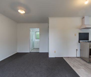 One Bedroom Unit - Photo 6