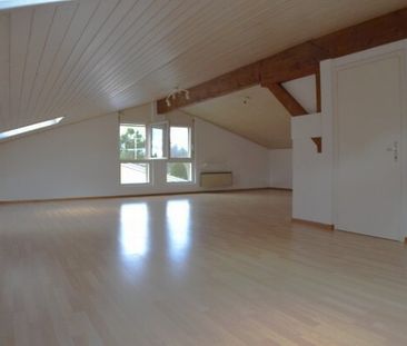 SPACIEUSE VILLA DANS LES HAUTS DE VERSOIX, TOUT PRES DU COLLEGE DU ... - Foto 2