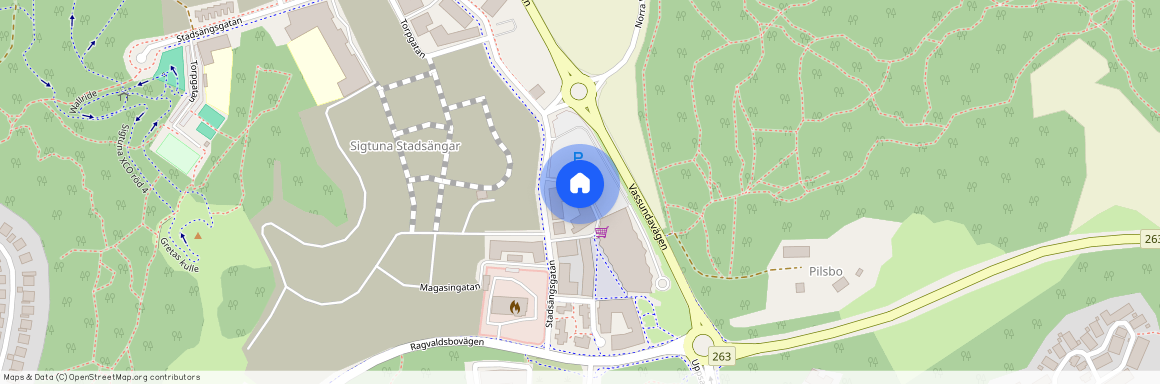 Skattsökargränd, Sigtuna