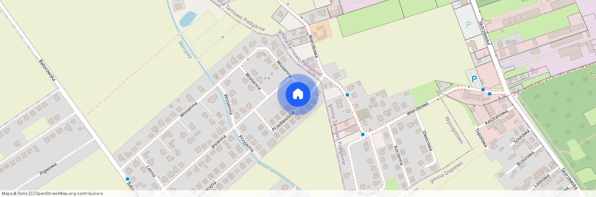 Skórzewo, Dopiewo, poznański, wielkopolskie