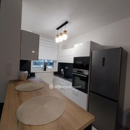 Damjanich lakópark, Szabolcs-Szatmár-Bereg, 4400, Nyíregyháza - Fotó 5