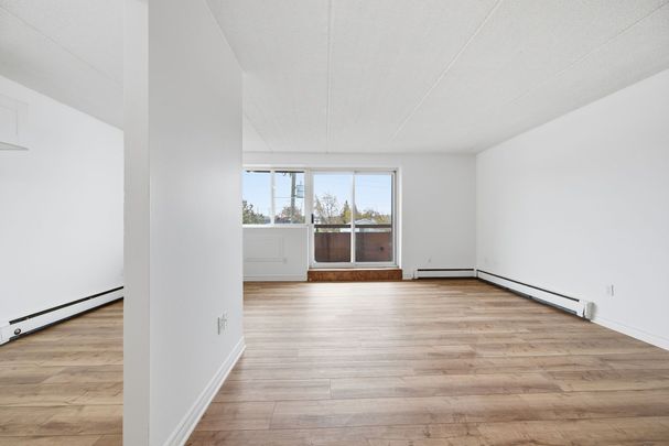 For Lease - 19 Manchester Avenue Unit# 301, St. Catharines, Ontario - Photo 1