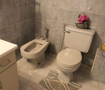 For Lease - 1222 Brimley Road Unit# Lower, Toronto, Ontario - Photo 3