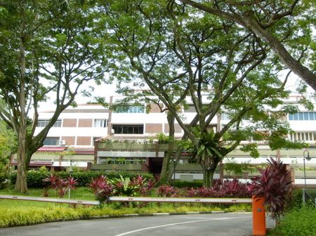 Island View (D5), Condominium - For Rent - Photo 5