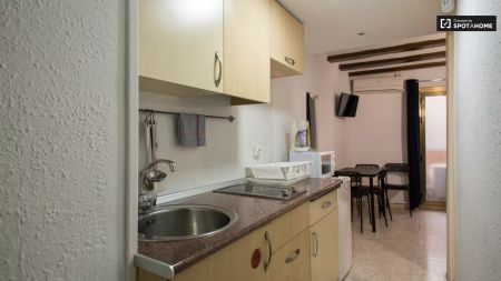 Studio for rent in El Raval, Barcelona, perfect for students - Photo 3