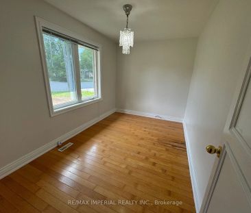 Detached Home For Lease | N9250381 - Photo 4