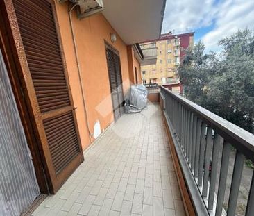Trilocale in affitto - Photo 5