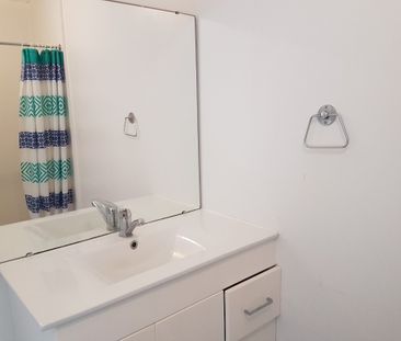 Central Location - Mt Maunganui - Photo 2