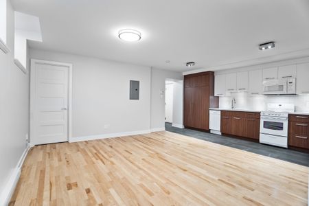 Appartement à louer, Montréal (Ville-Marie) - Photo 5