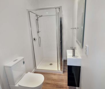 Aro Valley , Spacious 5 bedroom flat - Photo 3