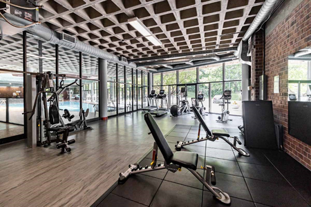 Deluxe Room - Olympic Village - Photo 3