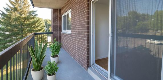 Complexe du Parc | Studio à Louer | Studio for Rent | Sherbrooke - Photo 2