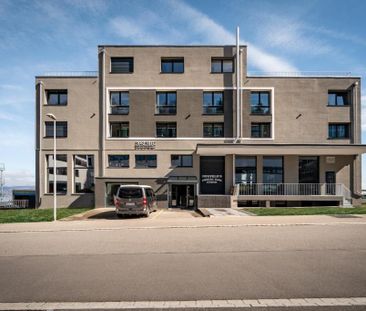 3 Zimmer, 140 m², Untergeschoss - Foto 3