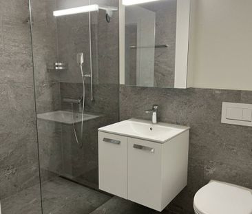 Rent a 5 ½ rooms apartment in Uster - Photo 2