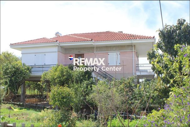 Μονοκατοικία για ενοικίαση Σκαφιδιά (Πύργος) - Photo 1