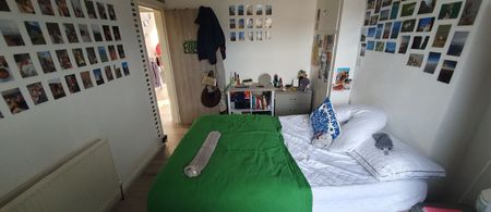 6 Minister Street, Cathays, Cardiff, CF24 4HR - Photo 3