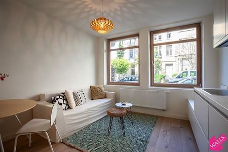 Gerenoveerd appartement met leuke buitenruimte - Foto 3