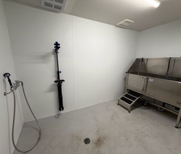 July 1st: 1 bed, 1 bath Top Floor – Clifton - Photo 4