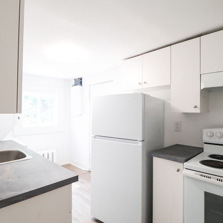 275 Bronson Avenue - 1 Ottawa ON K1R 6H7 - Photo 1