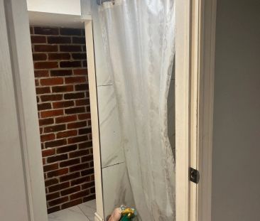 54 Wyndham Street #Lower - Photo 2