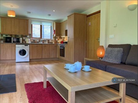 3 bedroom detached house to rent - Photo 4