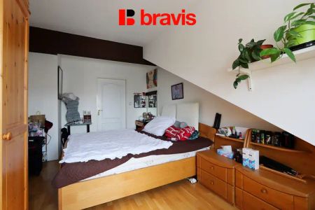 Pronájem slunného podkrovního bytu 3+kk, ul. Renneská třída, Brno - Štýřice, zařízený, sklep - Fotografie 2