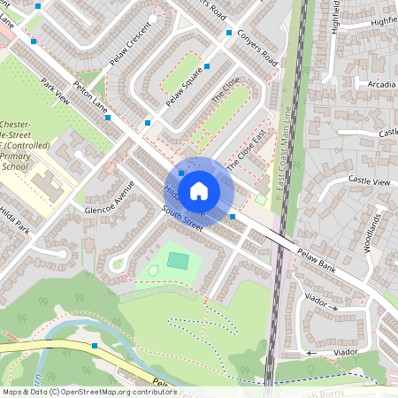 Hilda Terrace, South Pelaw, Chester Le Street