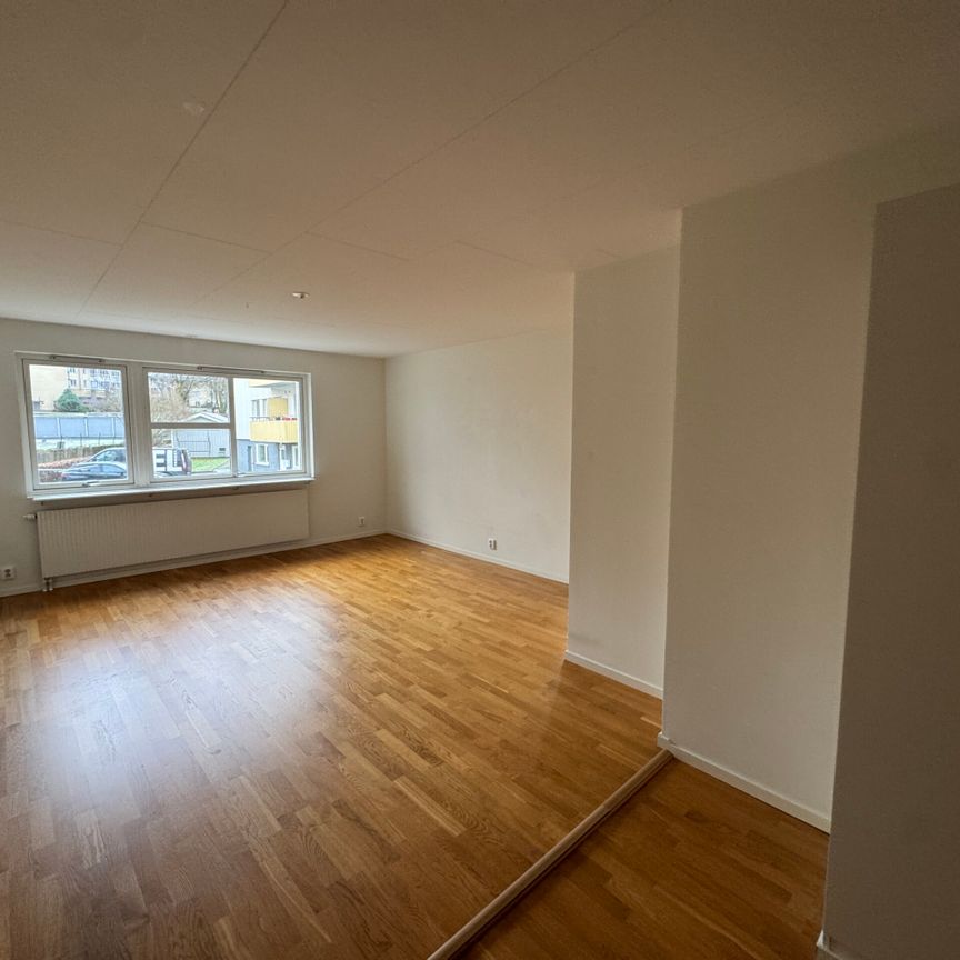 Frejagatan 8 – 2 rok (1002) - Photo 1